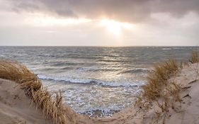 Luett Nest Foehr
